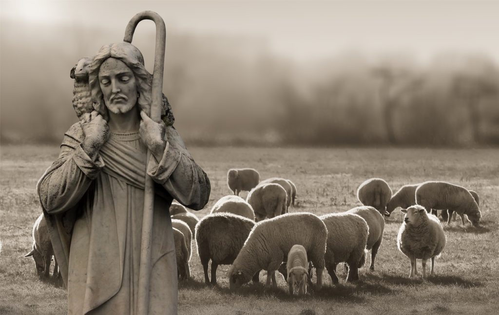 religion, faith, shepherd