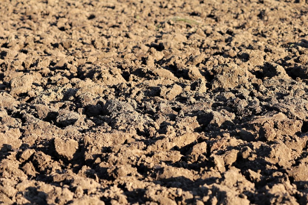 plowed earth, soil, brown