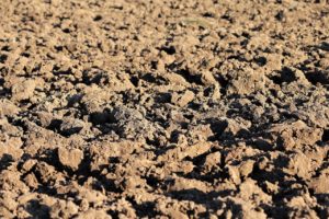 plowed earth, soil, brown