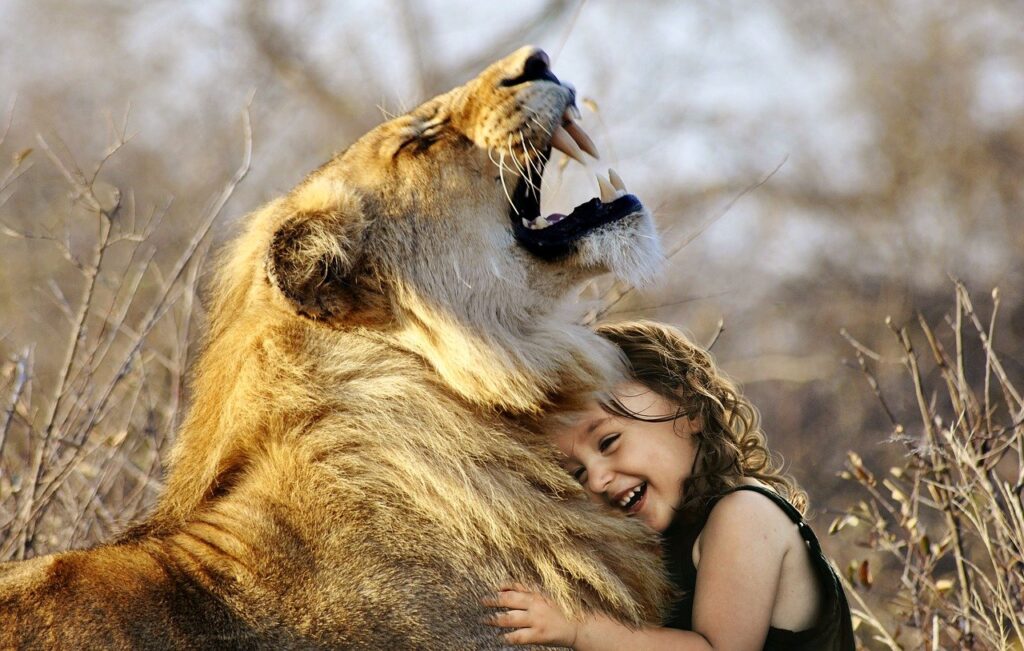 lion, roar, africa